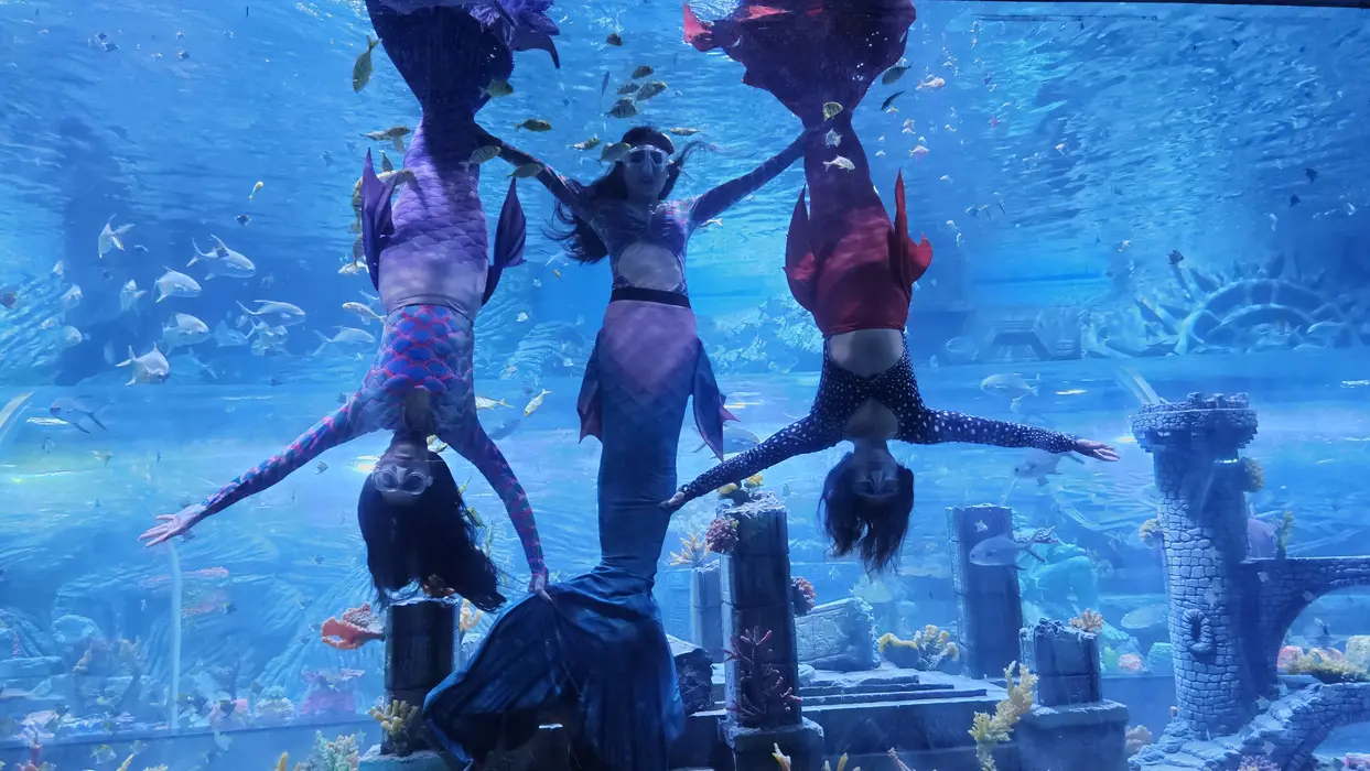 Mermaid Show